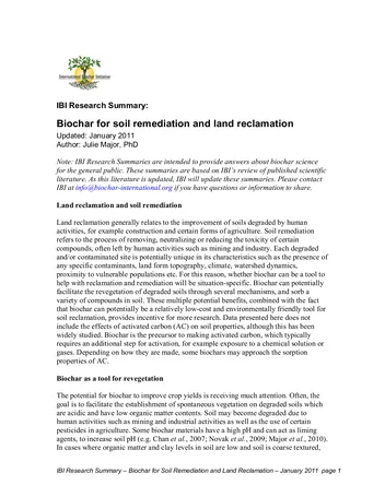 Más sobre Biochar para la Remediación de Suelos y la Reclamación de Tierras