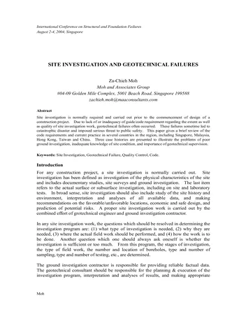 Más sobre Investigación del Sitio y Fallas Geotécnicas